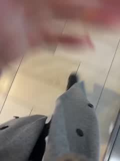 @-cutiekitty- Snapshot • 2026-01-06 13:39