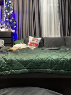 @Vero19nika Snapshot • 2026-01-07 17:14