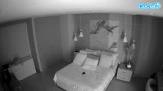 @voyeurcam-casa-salsa-bedroom-12 Snapshot • 2026-01-07 10:46