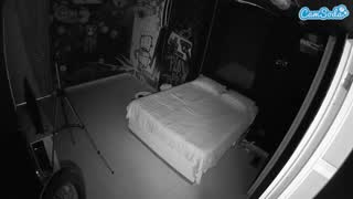 @voyeurcam-casa-salsa-disturbed Snapshot • 2026-01-07 15:13