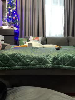 @Vero19nika Snapshot • 2026-01-08 12:19