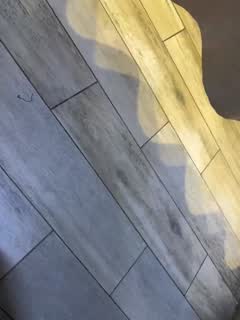 @-cutiekitty- Snapshot • 2026-01-08 11:54