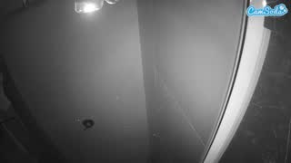 @voyeurcam-casa-salsa-bathroom-11 Snapshot • 2026-01-08 23:35