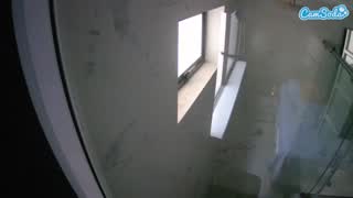 @voyeurcam-casa-salsa-bathroom-13 Snapshot • 2026-01-08 21:54