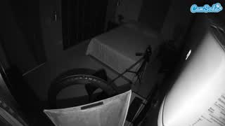 @voyeurcam-casa-salsa-bedroom-8 Snapshot • 2026-01-08 04:22