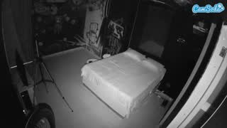@voyeurcam-casa-salsa-disturbed Snapshot • 2026-01-08 03:37