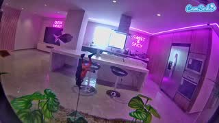 @voyeurcam-casa-salsa-fishtank Snapshot • 2026-01-08 15:35