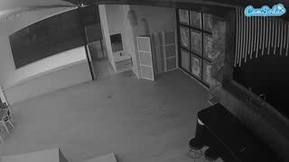 @voyeurcam-casa-salsa-panoramic Snapshot • 2026-01-08 23:05