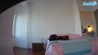 @voyeurcam-celticiron-01 Snapshot • 2026-01-08 17:09