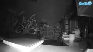 @voyeurcam-bridgetleewalters-02 Snapshot • 2026-01-09 07:56