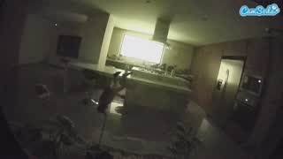 @voyeurcam-casa-salsa-fishtank Snapshot • 2026-01-09 07:55