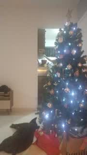 @pregnanhot Snapshot • 2026-01-10 07:37