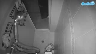 @voyeurcam-baileybase-shower Snapshot • 2026-01-10 08:55