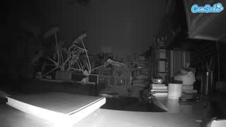 @voyeurcam-bridgetleewalters-02 Snapshot • 2026-01-10 08:54