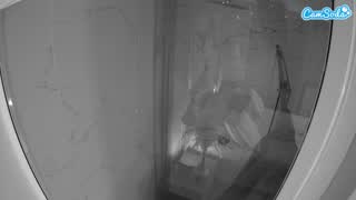 @voyeurcam-casa-salsa-bathroom-12 Snapshot • 2026-01-10 04:49