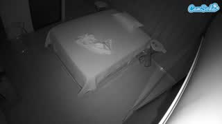 @voyeurcam-casa-salsa-bedroom-7 Snapshot • 2026-01-10 08:00