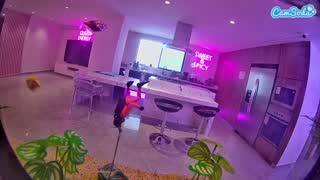 @voyeurcam-casa-salsa-fishtank Snapshot • 2026-01-10 17:09