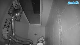 @voyeurcam-baileybase-shower Snapshot • 2026-01-12 10:18
