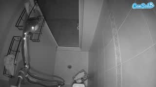 @voyeurcam-baileybase-shower Snapshot • 2026-01-12 17:03