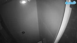 @voyeurcam-casa-salsa-bathroom-11 Snapshot • 2026-01-12 18:46