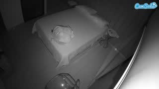 @voyeurcam-casa-salsa-bedroom-7 Snapshot • 2026-01-12 19:49