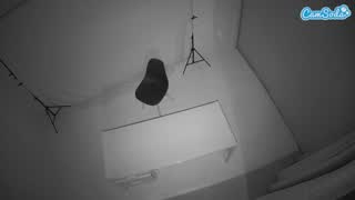 @voyeurcam-jb-porno-room-1 Snapshot • 2026-01-12 11:42