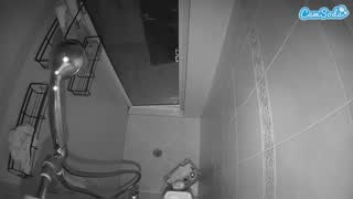 @voyeurcam-baileybase-shower Snapshot • 2026-01-13 18:44