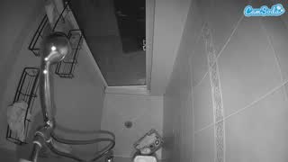 @voyeurcam-baileybase-shower Snapshot • 2026-01-13 19:00