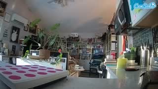 @voyeurcam-bridgetleewalters-02 Snapshot • 2026-01-13 13:52