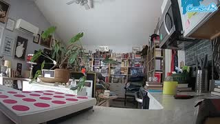 @voyeurcam-bridgetleewalters-02 Snapshot • 2026-01-13 18:44