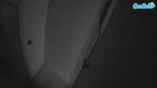 @voyeurcam-casa-salsa-bathroom-7 Snapshot • 2026-01-13 18:14