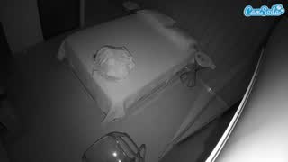 @voyeurcam-casa-salsa-bedroom-7 Snapshot • 2026-01-13 17:32