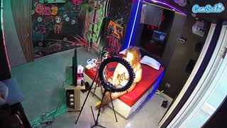 @voyeurcam-casa-salsa-disturbed Snapshot • 2026-01-13 08:14