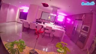 @voyeurcam-casa-salsa-fishtank Snapshot • 2026-01-13 06:44