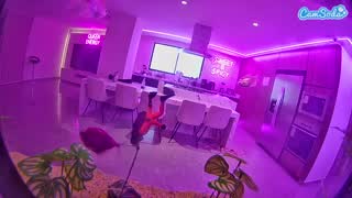 @voyeurcam-casa-salsa-fishtank Snapshot • 2026-01-13 19:22