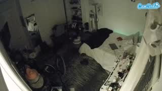 @voyeurcam-hornyhostel-02 Snapshot • 2026-01-13 02:46