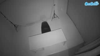 @voyeurcam-jb-porno-room-1 Snapshot • 2026-01-13 16:12