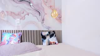 @EvelynSweet Snapshot • 2026-01-14 20:39