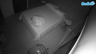 @voyeurcam-casa-salsa-bedroom-7 Snapshot • 2026-01-14 10:08