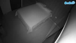 @voyeurcam-casa-salsa-bedroom-7 Snapshot • 2026-01-14 17:33