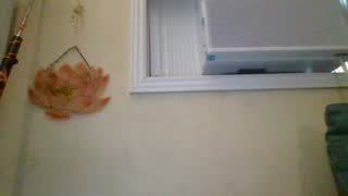 @QueenCrimson Snapshot • 2026-01-15 20:43