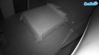 @voyeurcam-casa-salsa-bedroom-7 Snapshot • 2026-01-15 18:41