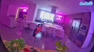 @voyeurcam-casa-salsa-fishtank Snapshot • 2026-01-15 18:37