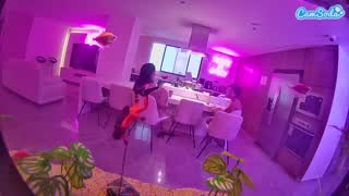 @voyeurcam-casa-salsa-fishtank Snapshot • 2026-01-15 19:49