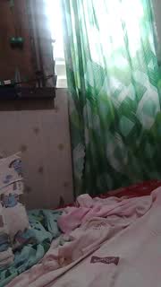 @WildLady Snapshot • 2026-01-16 02:39