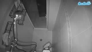 @voyeurcam-baileybase-shower Snapshot • 2026-01-16 20:08