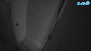 @voyeurcam-casa-salsa-bathroom-7 Snapshot • 2026-01-16 19:51
