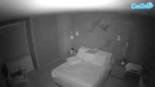 @voyeurcam-casa-salsa-bedroom-12 Snapshot • 2026-01-16 19:40