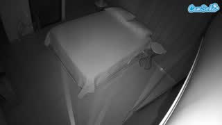 @voyeurcam-casa-salsa-bedroom-7 Snapshot • 2026-01-16 19:28