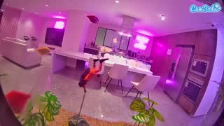 @voyeurcam-casa-salsa-fishtank Snapshot • 2026-01-16 00:38